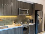 Renta Loft Gran Ciudad Chapultepec 42m2 Piso 3