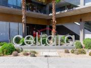 RENTA MÓDULO DE DOS CONSULTORIOS MÉDICO TORRE CELTARA