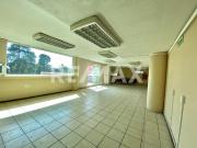 RENTA NIVEL 6 DE EDIFICIO EN C. COLÓN, TOLUCA, 3