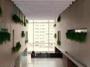 RENTA OFICINA ACONDICIONADA EN LOMAS DE CHAPULTEPEC