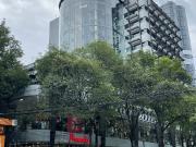 Renta Oficina Polanco