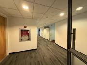 Renta oficinas 337 m2 Reforma Angel Independence...