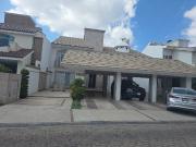 renta pulgas pandas sur