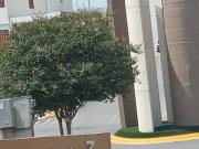 Renta residencia Amueblada y Equipada Privada Valle Azul...