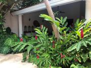 Renta: Residencia de una planta, en Montes de Ame