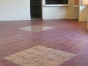 ✨ ¡Renta tu nuevo hogar en la Col. Reforma calle palmeras