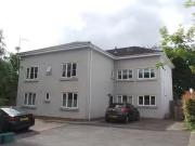 Deal! 1 BA 2 bedroom penthouse for rent in Rochester...