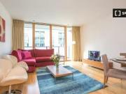 Cheap 1 BR 3 bedroom apartment for rent in Docklands, Dublin