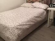 Cheap 1 BR Rooms for rent in 8 bedroom house in...