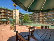 Just in! 20B/188 Carrington Street, Adelaide, SA 5000