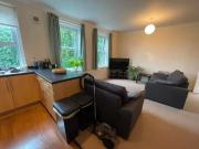 Cheap 2 bedroom flat for rent in Christchurch Road,...