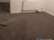 New 2 bedroom flat for rent in Waterloo Road,...