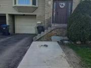 Deal! Basement 4 Lansing Square, Brampton, ON, L6Z 1E6 hou.