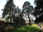 For Rent! Flat to rent in 6 Canning Road, Croydon CR0