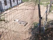Rental property for sale