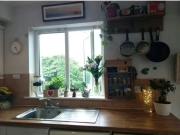 New Pump Lane, Nun's Island, Co. Galway is for rent