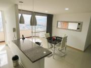 Rento Apartamento Amoblado en Sector Palmas