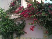 Rento casa amoblada en salinas hasta 15 personas