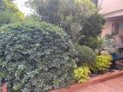 RENTO CASA AMUEBLADA, AMUEBLADA TOTALMENTE, AVENIDA DE...