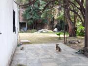 RENTO CASA MUY AMPLIA CON JARDIN GRANDE Y ALBERCA