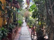 RENTO DEPARTAMENTO AMUEBLADO EN CENTRO DE COYOACÁN