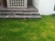 Rento departamento en planta baja con jardin en El...