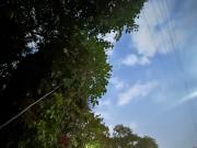 Se renta Departamento en Club de Golf Hacienda DHR285