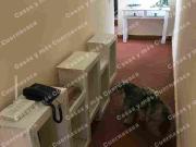 RENTÓ LOFT AMUEBLADO EN RANCHO CORTÉS CUERNAVACA MOR