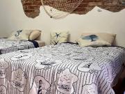 Rentó loft cerca de Paseo Tabasco