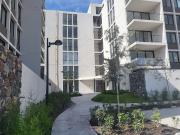 RENTO LOFT EN DISTRITO SOPHIA JURICA QRO, PLATA BAJA CON...