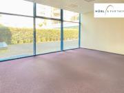 Repräsentative Gewerbefläche 295m² mit großer Terrasse...