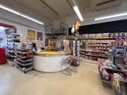 Repräsentatives Geschäftslokal in Hofstätten / Raab mit...