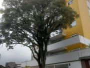 Reserva Ipê Madureira APARTAMENTO 03 dormitórios para...