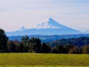 RESERVA MANANTIALES PUERTO VARAS REGIÓN DE LOS LAGOS