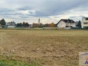 Herrlicher, großer Baugrund im Zentrum von Marchtrenk!