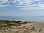 Résidence De L'art: faisant face à la Plage de...