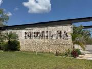 Residencia Campestre de Lujo en Dzidzil Há, Mérida |...
