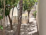 Residencia Colonial Contemporánea en el Corazón de Mérida