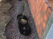 Residencia com 2 dormitórios à venda, 90 m² por R$...