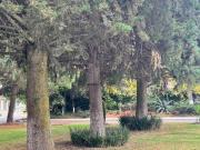 Residencia con jardín en La Providencia frente a Town Square