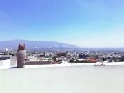 RESIDENCIA DE 5 RECÁMARAS EN CUMBRES 3ER. SECTOR! 446M2...