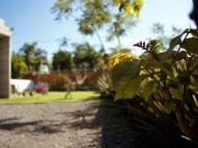 residencia de lujo en Atlixco con alberca, jardines y...