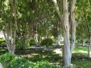 Residencia de Lujo en Atlixco, Puebla – 5,700 m² con...