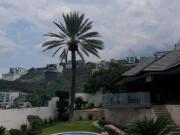 RESIDENCIA DE LUJO EN VENTA – SAN PATRICIO, SAN PEDRO...