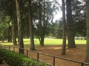 RESIDENCIA EN CLUB DE GOLF SAN CARLOS, METEPEC. VISTA AL...