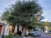 Residencia en venta dentro de coto en Bugambilias