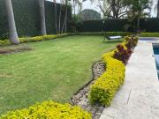 Residencia en VENTA en Fraccionamiento Real Las Quintas...