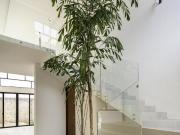 Residencia en Venta Fraccionamiento Cabo Norte