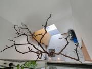 RESIDENCIA EN VENTA, TRES NIVELES, CON ALBERCA EN LOMAS...