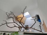 RESIDENCIA EN VENTA, TRES NIVELES, CON ALBERCA EN LOMAS...